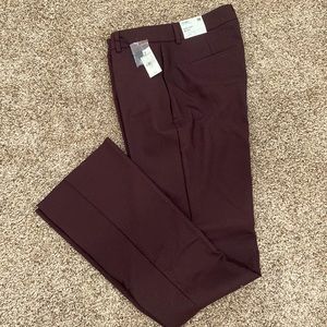 Express Columnist Pants